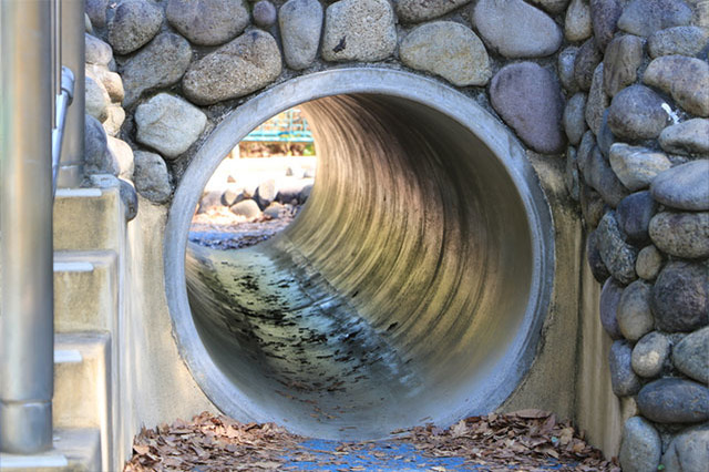 新しい発見に満ちた子どもの聖地！国営昭和記念公園の見どころを徹底レポート