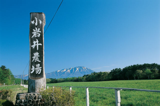 【徹底解説】小岩井農場まきば園の魅力とは！おすすめスポットから割引や混雑情報まで一挙紹介！