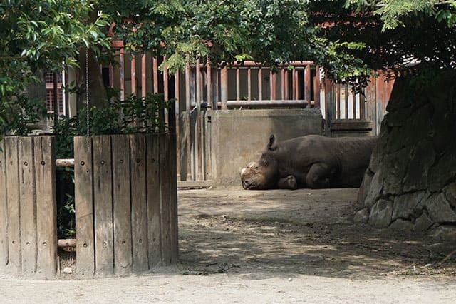 ここでしか見られない希少動物の宝庫！ 横浜「金沢動物園」を徹底解説