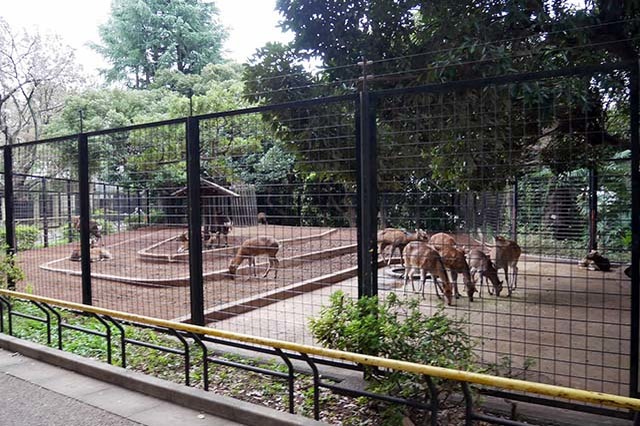 入園料無料が嬉しい！「夢見ヶ崎動物公園」の見どころやアクセス方法を徹底解説