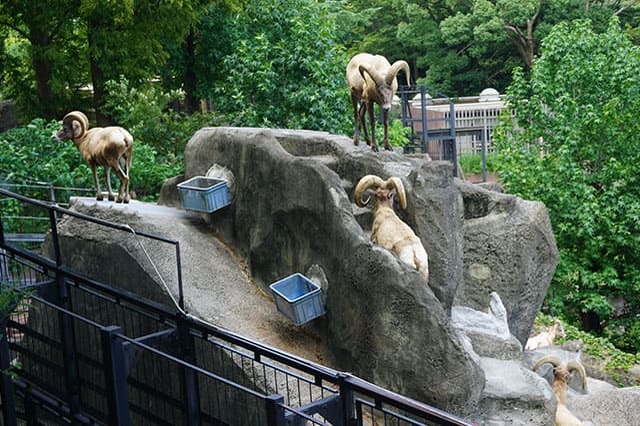 ここでしか見られない希少動物の宝庫！ 横浜「金沢動物園」を徹底解説