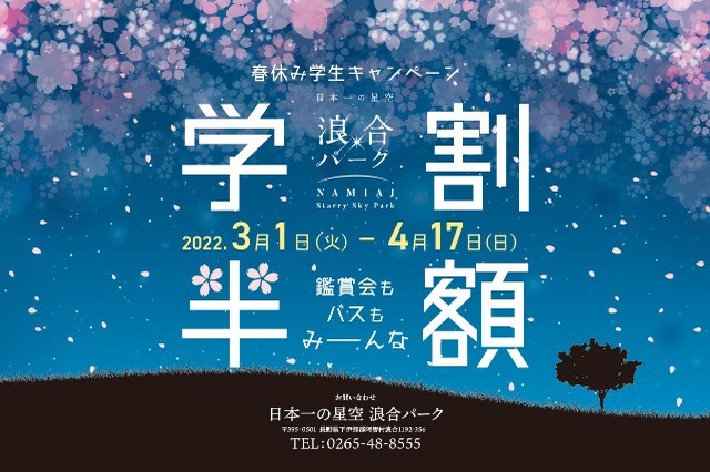 焚き火やハンモックを楽しみながら満天の星を眺める感動体験！日本一の星空は現実離れした美しさ