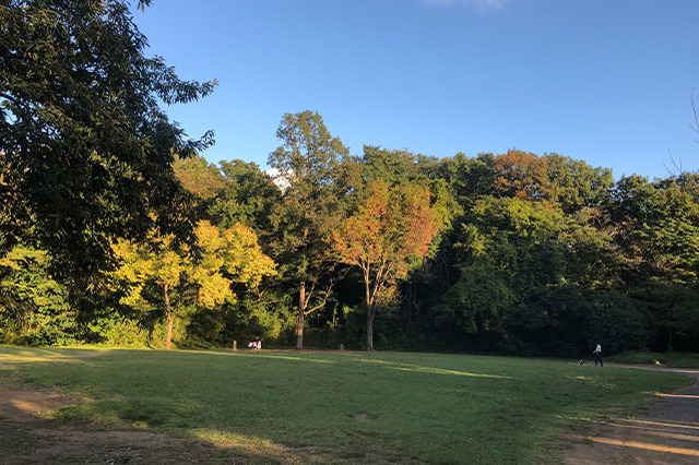 子どもの遊び場の宝庫！こども自然公園の見どころを徹底レポート