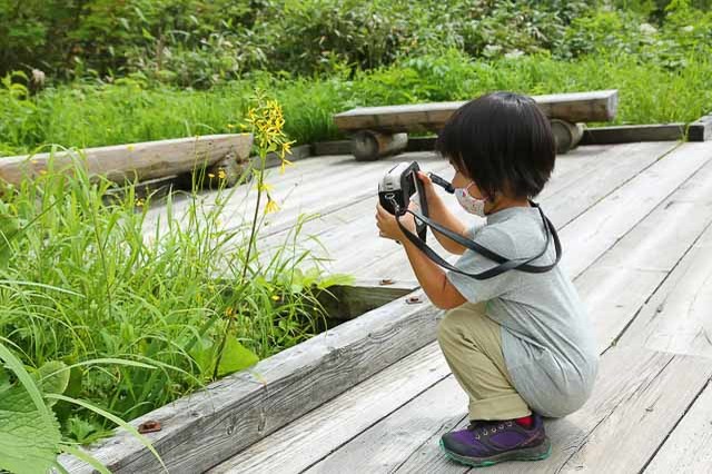 山のてっぺんで豪華お弁当を頬張ろう！天空の高原「栂池自然園」でご馳走ピクニック＆ロープウェイ散策を満喫【長野】