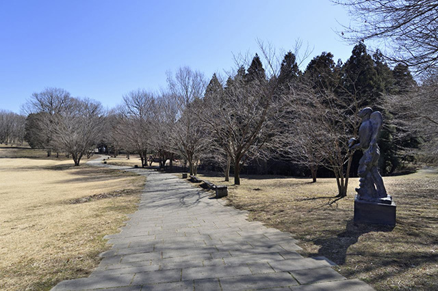 数多くのアートに心躍る！宇都宮美術館の魅力をご紹介