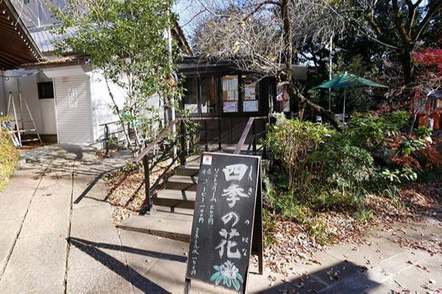 東京23区で唯一の渓谷！水と緑に癒される等々力渓谷の見どころを散策しながら紹介