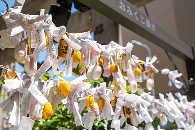 大都会・日本橋で篤く信仰される「小網神社」を徹底取材！由緒や社殿の見どころなどをご紹介