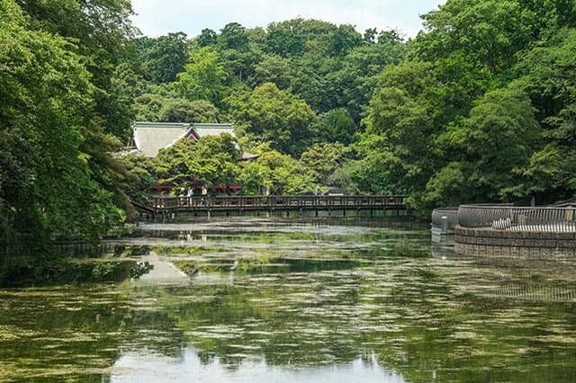 井の頭恩賜公園をぐるり一周散歩！歩いて見つけた注目スポットをご紹介