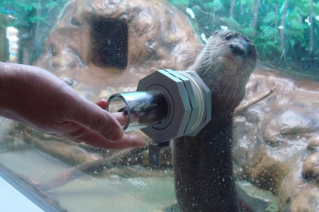 北海道 水族館 5選！観光にオススメの人気水族館