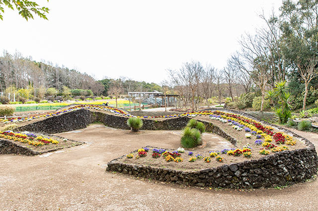 【写真映えスポットもいっぱい】四季折々の花が咲き誇る！浜名湖ガーデンパークを徹底レポート