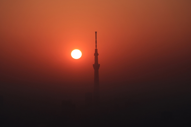 スカイツリーと太陽が織りなす都会の絶景！一年に数日のみの希少な光景を忘れられない思い出に