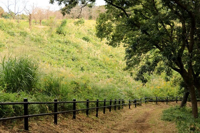 子どもの遊び場の宝庫！こども自然公園の見どころを徹底レポート