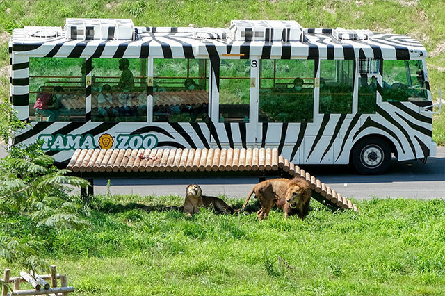 多摩動物公園で会えてよかった15種の動物たち