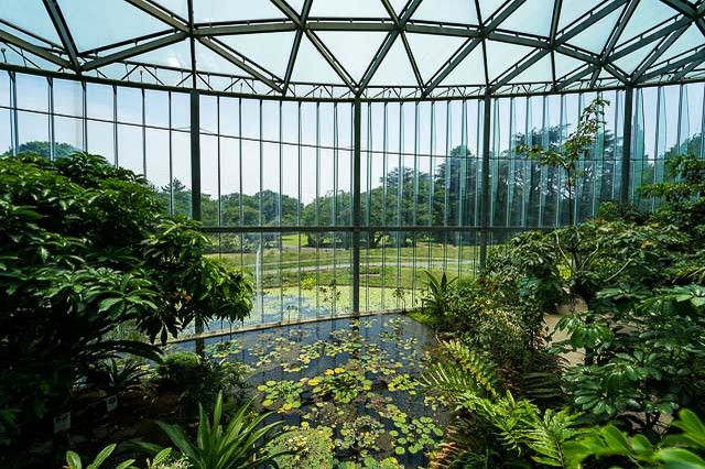 雨でも「そとへのお出かけ気分」を感じられるスポット！都内の温室植物園3選