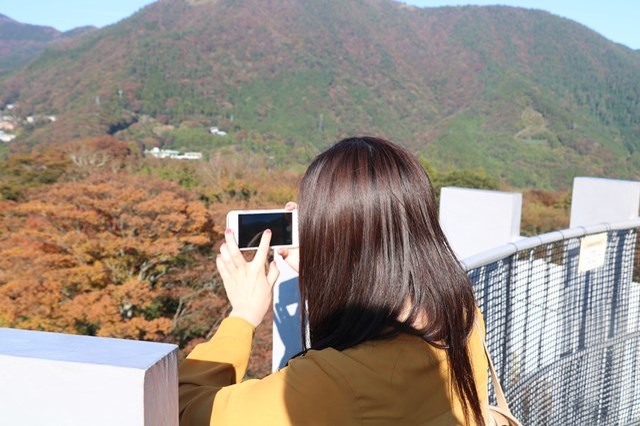 【割引あり】彫刻の森美術館の魅力を徹底解剖！インスタ映えスポットから混雑などの基本情報まで