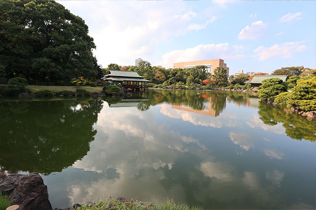 清澄庭園を楽しみ尽くす完全ガイド！美しい庭園を回りながら見どころを紹介