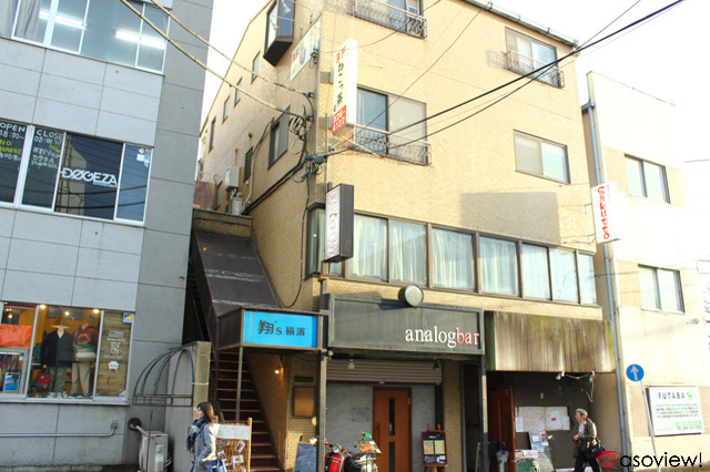 横浜 猫カフェおすすめ5選！猫好き必見の癒し空間に行こう