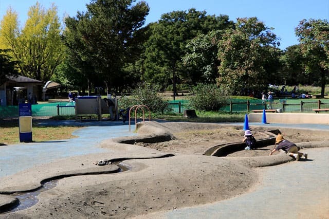 新しい発見に満ちた子どもの聖地！国営昭和記念公園の見どころを徹底レポート