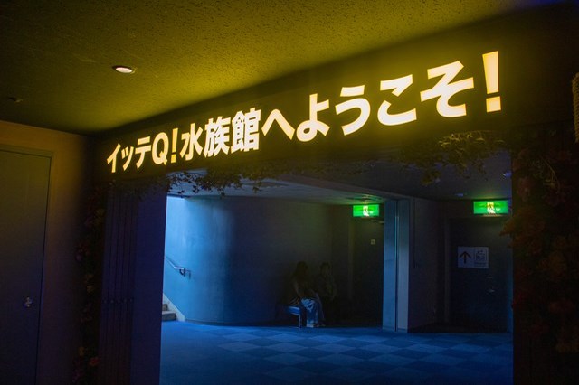 【徹底取材】横浜・八景島シーパラダイスの魅力！デートやファミリーなど様々な楽しみ方を紹介！