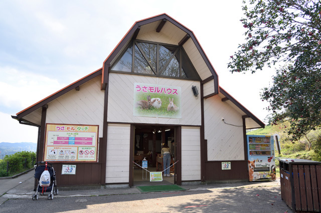 かわいい動物たちとのふれあいがいっぱい！ 一日中思いっきり遊べる「マザー牧場」に行こう