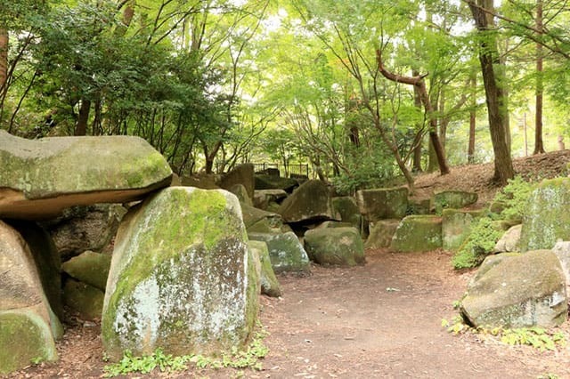 新しい発見に満ちた子どもの聖地！国営昭和記念公園の見どころを徹底レポート