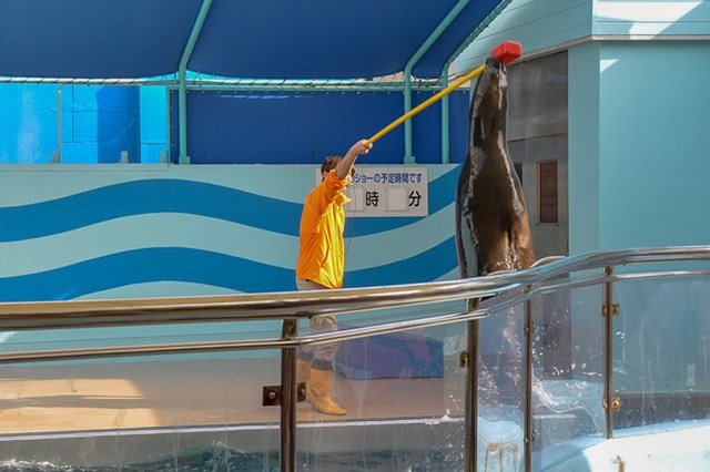 【徹底取材】竹島水族館 アクセスから周辺の観光地、ランチスポットまでご紹介