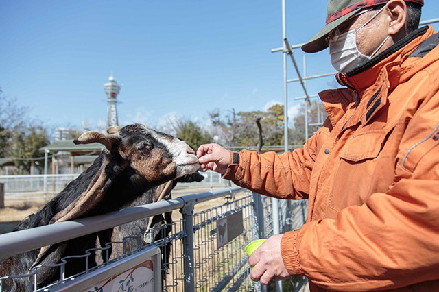 【ここでしか会えない動物たちも！】天王寺動物園でかわいい動物たちに癒される