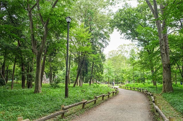 井の頭恩賜公園をぐるり一周散歩！歩いて見つけた注目スポットをご紹介