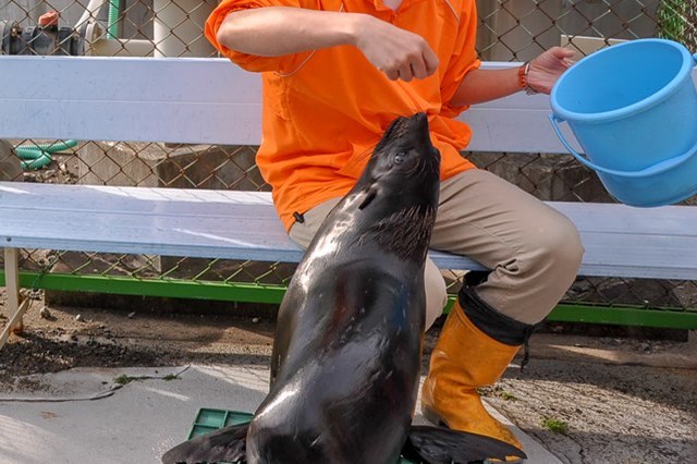 【徹底取材】竹島水族館 アクセスから周辺の観光地、ランチスポットまでご紹介