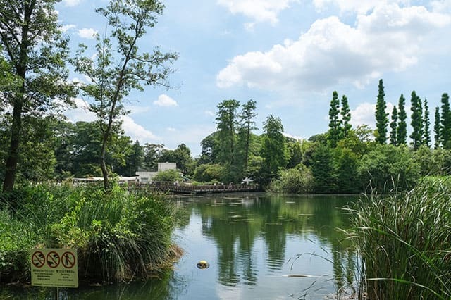 井の頭恩賜公園をぐるり一周散歩！歩いて見つけた注目スポットをご紹介