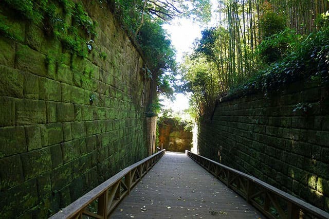 都心から日帰りで行ける無人島！「猿島」で神秘の自然と史跡巡りを堪能しよう