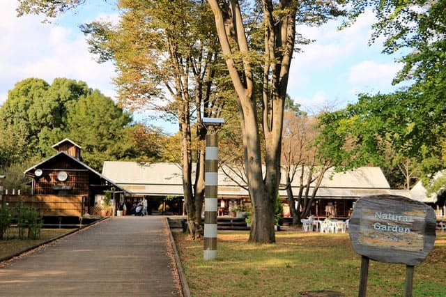 新しい発見に満ちた子どもの聖地！国営昭和記念公園の見どころを徹底レポート