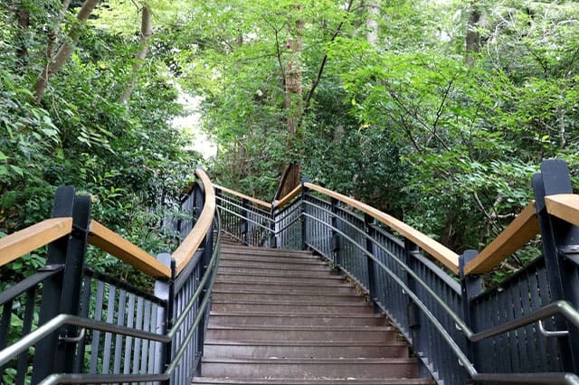 港の見える丘公園の見どころ&定番観光「西洋館巡り」を紹介