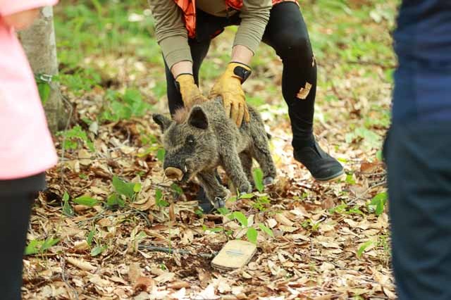 罠作り・狩猟体験・解体まで！長野の奥志賀で命と真剣に向き合う食育ワークショップが開催