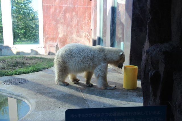 上野動物園を2時間で思いっきり満喫！時間がなくても楽しめる方法教えます