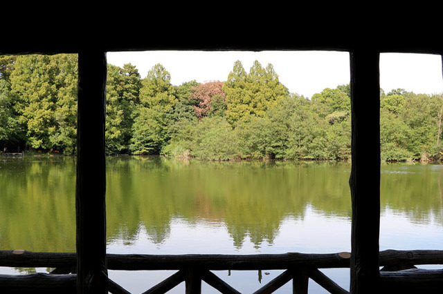 武蔵野の自然が残る石神井公園を散策！石神井池・三宝寺池の周辺見どころを紹介