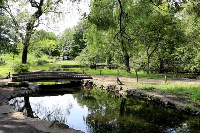 武蔵野の自然が残る石神井公園を散策！石神井池・三宝寺池の周辺見どころを紹介