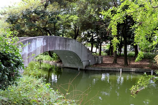 武蔵野の自然が残る石神井公園を散策！石神井池・三宝寺池の周辺見どころを紹介