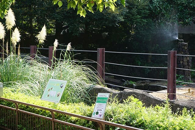 ここでしか見られない希少動物の宝庫！ 横浜「金沢動物園」を徹底解説