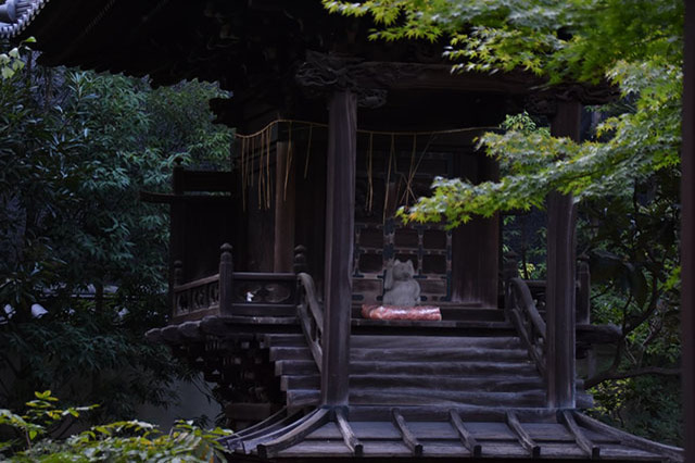 浅草寺の必見ポイントまとめ！おすすめ参拝コースと仲見世グルメで浅草を満喫