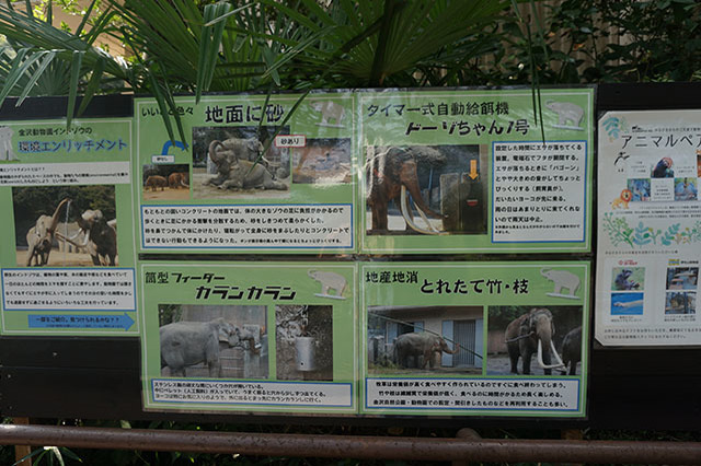 ここでしか見られない希少動物の宝庫！ 横浜「金沢動物園」を徹底解説