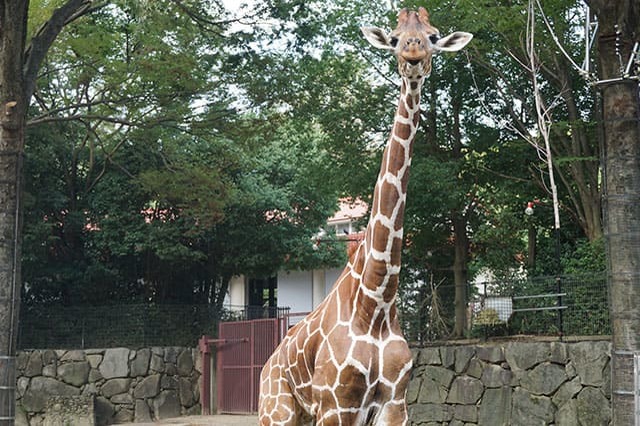 ここでしか見られない希少動物の宝庫！ 横浜「金沢動物園」を徹底解説