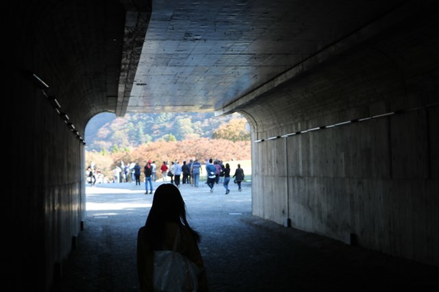 【割引あり】彫刻の森美術館の魅力を徹底解剖！インスタ映えスポットから混雑などの基本情報まで