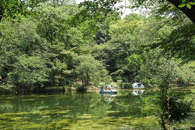 井の頭恩賜公園をぐるり一周散歩！歩いて見つけた注目スポットをご紹介