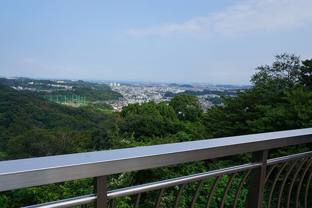 ここでしか見られない希少動物の宝庫！ 横浜「金沢動物園」を徹底解説