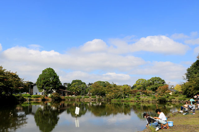 子どもの遊び場の宝庫！こども自然公園の見どころを徹底レポート