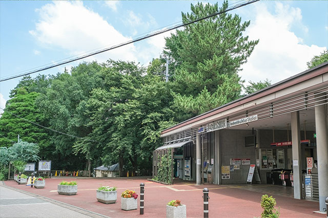 井の頭恩賜公園をぐるり一周散歩！歩いて見つけた注目スポットをご紹介