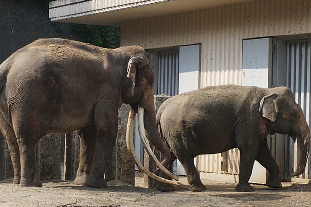 ここでしか見られない希少動物の宝庫！ 横浜「金沢動物園」を徹底解説