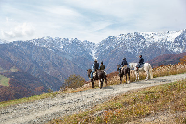 絶景を眺めながら乗馬やピクニックを満喫！新しい白馬リゾートで自然いっぱいの旅へ出発しよう