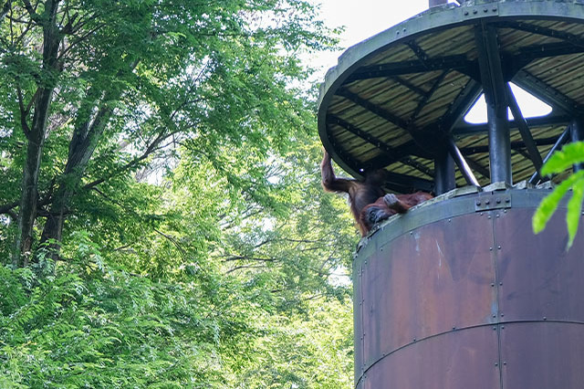 多摩動物公園で会えてよかった15種の動物たち